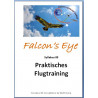 Falcon 20 Luftfahrzeug-Kenntnisse