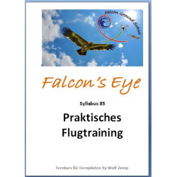 Falcon 60 Navigation