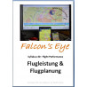 Falcon 80 Grundlagen des Fluges