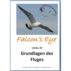 Falcon 85 Praxis Drohnenflug