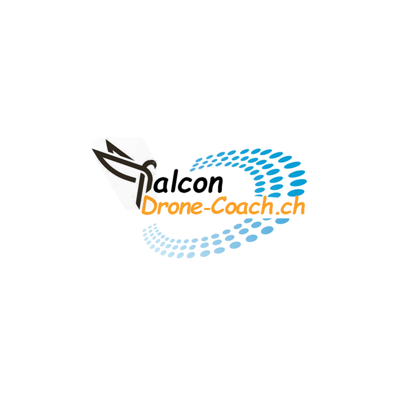 Drone-Coaching Privatberatung